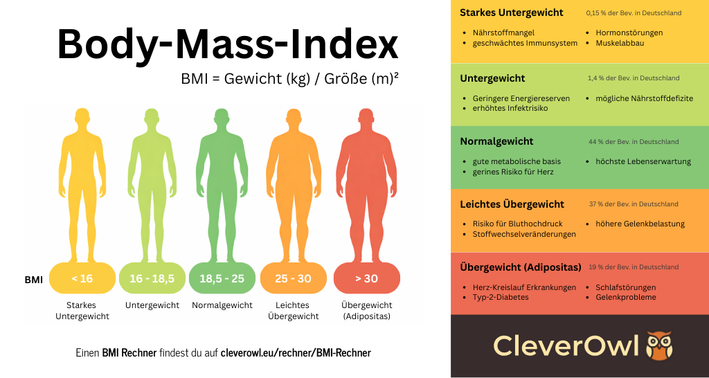 BMI Infografik